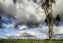 探索天涯隆胸论坛：聊聊大家的隆胸故事